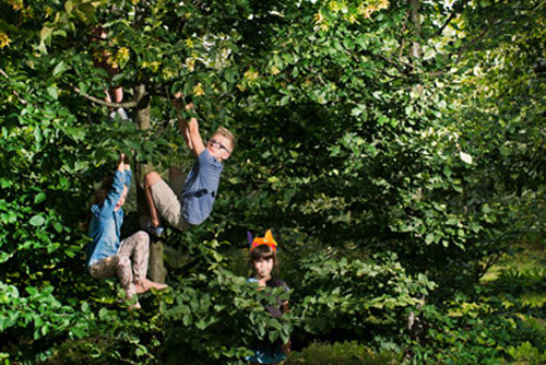 Speelbomen