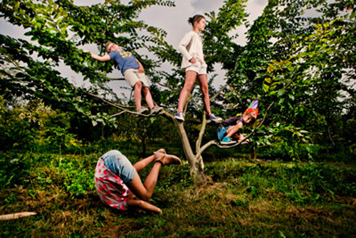 Speelbomen