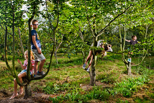 Speelbomen